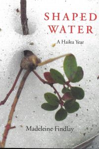 findlay shaped water letterpress findlay shaped water letterpress