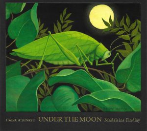 findlay under the moon findlay under the moon