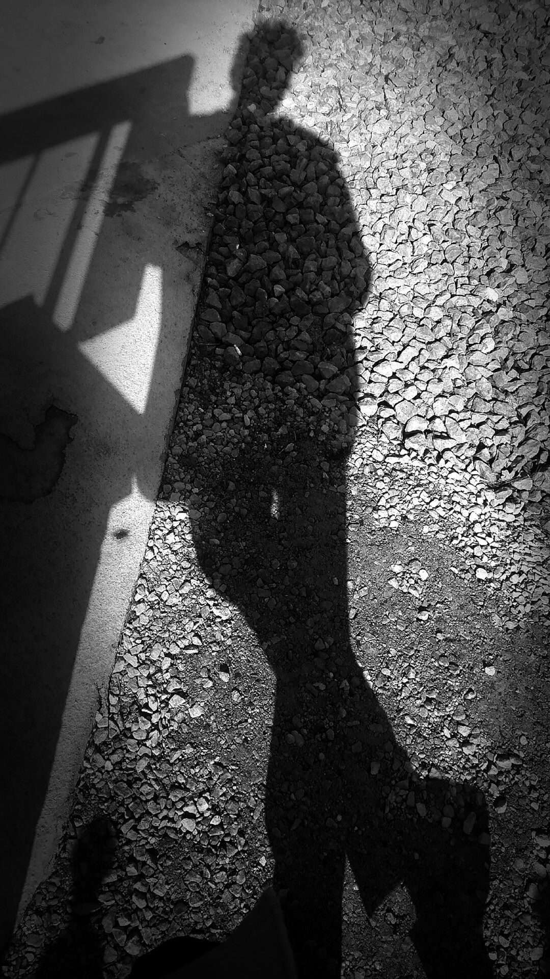 JeromeBerglundHeadshot