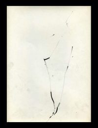 the-haiku-foundation-back-issues-1 the-haiku-foundation-back-issues-1